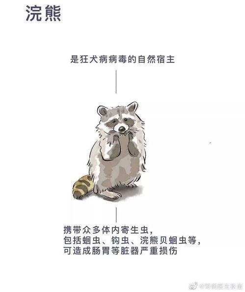 爷爷吃毒瓜蛇的小说免费阅读,生死较量，揭秘神秘植物之谜  第2张